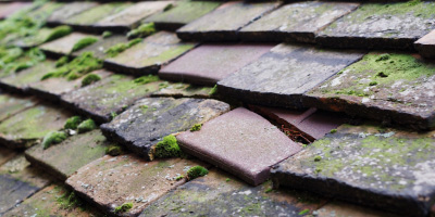 Boraston roof repair costs